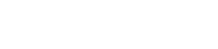 操作を拒む、やさしさ。飛ぶのに、止まる。しかも、曲がらない。